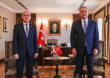 Gürcistan Başbakan Yardımcısı ve Dışişleri Bakanı David Zalkaliani’nin Ziyareti