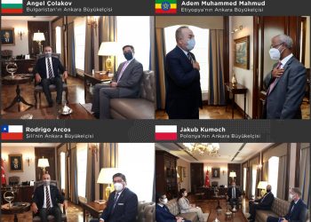 Ankara Büyükelçilerinin Ziyareti