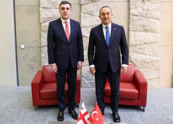 Gürcistan Dışişleri Bakanı Ilia Darchiashvili ile Görüşmemiz