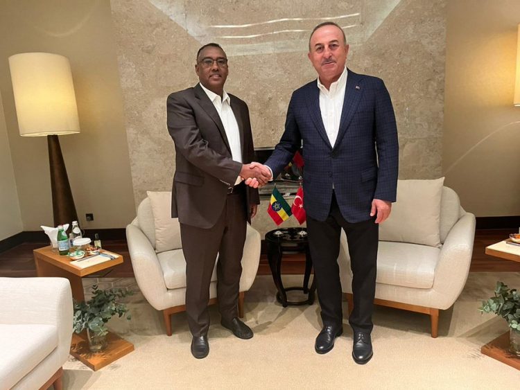 Etiyopya Dışişleri Bakanı Demeke Mekonnen ile Görüşmemiz